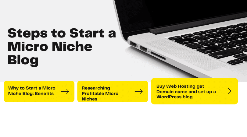Start a Micro Niche Blog (1)