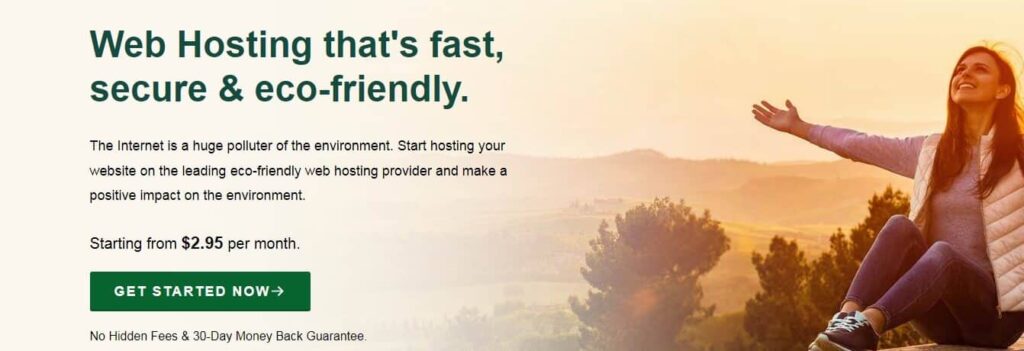 greengeeks hosting home page