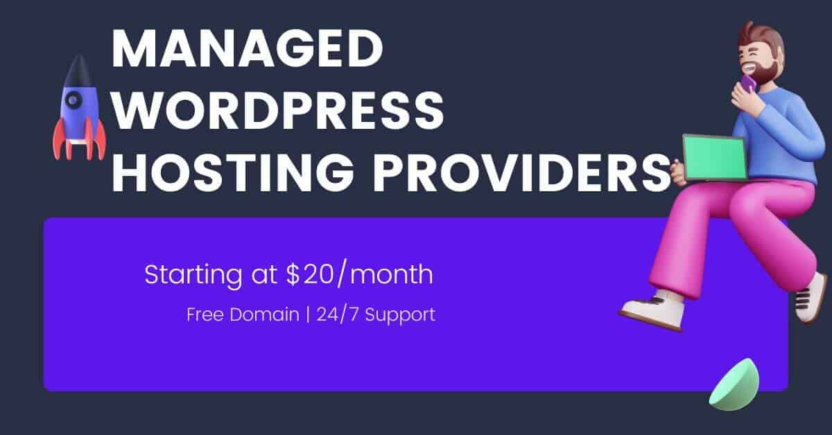 Fully Managed WordPress Hosting providers (1)